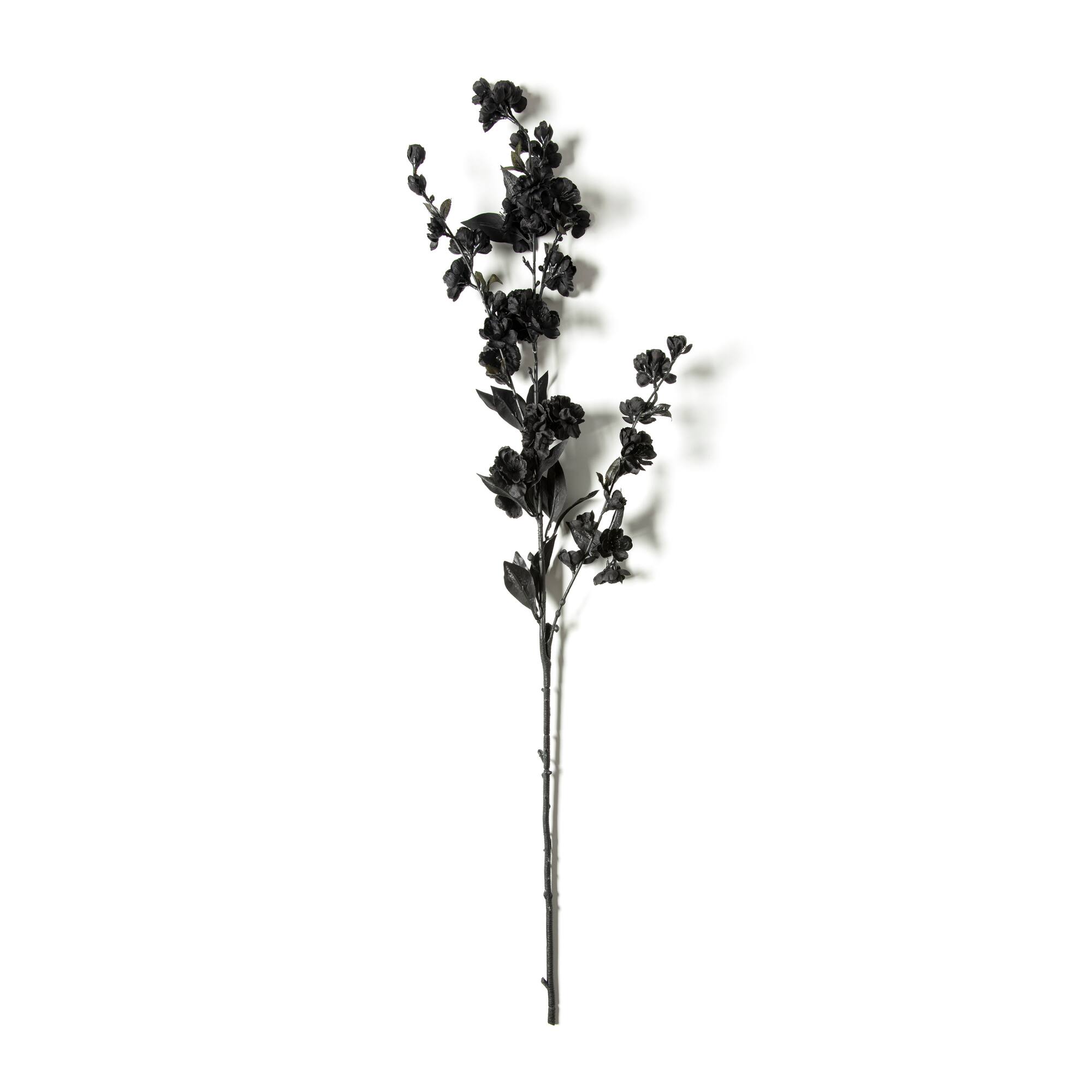 12 Pack: Blossom Spray by Ashland